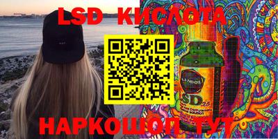 jwh Кингисепп