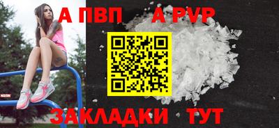 jwh Кингисепп