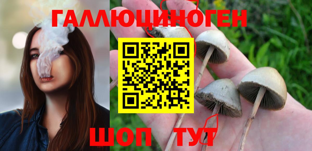 Кыштым  Галлюциногенные грибы прущие грибы  Вход с VPN 