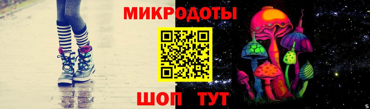 Псилоцибиновые грибы Cubensis Кыштым
